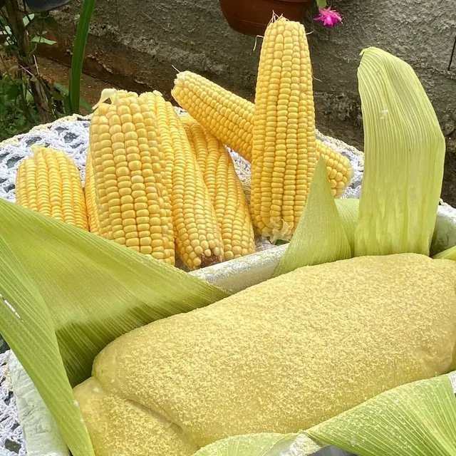 Bolo Pamonha P